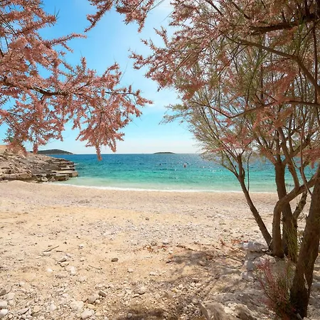 Вілла Beachfront Sevid With Heated Pool And Jacuzzi Zaglavice